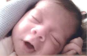 Drake Rodriguez Obituary