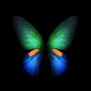 In windows 7 and windows xp it was very easy to change the default background color of all windows to once changed, all windows of all apps would conform to the custom color as long as the apps but you can set your own custom color. Https Encrypted Tbn0 Gstatic Com Images Q Tbn And9gcrcvgy6tq3fmq Ayrxuy4fvgvusqukylu0mtuc2qk7glg Bksm1 Usqp Cau