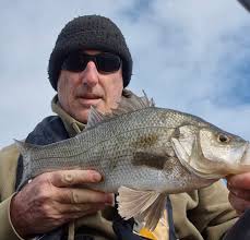 Little slow but enjoying nice weather and cribbage out of wigwam 😊
