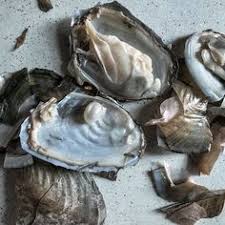 Get menu, photos and location information for sand and pearl oyster bar in prince edward, on. 42 Molluscs Ideas Molluscs Oysters Oyster Pearl