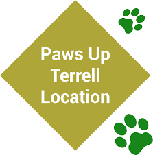 There is a limit of one client in the lobby at a time, and we request that face coverings are worn inside our facility. Dog Grooming Boarding Training In Terrell Forney Tx Paws Up