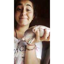 I Love Veterinary Medicine