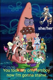 Bridget and the femboy erasure in a nutshell : rGamingcirclejerk