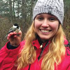 The Healing Place Invasion of the Gypsy Moth