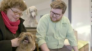 To visit paws inn & suites, the boarding facility located directly behind all animal hospital, click here. Veterinarian In Memphis Central Animal Hospital Youtube