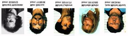 Dutroux frédéric (02/06/84) = avec dubois dutroux andy (24/09/93) = avec martin fille : Der Fall Marc Dutroux Der Mittater Bernhard Weinstein Gewisse Zeugenaussagen Und Die Angeblich Satanischen Hintergrunde Pdf Kostenfreier Download