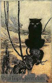 Check spelling or type a new query. Top 10 Kucing Foto Dalam Seni Terkenal 2021