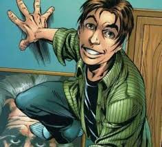 Homem-Aranha vida de um Herói uma história Peter Parker