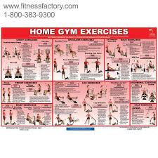 64 Explicit Weider 2980x Exercise Chart Pdf