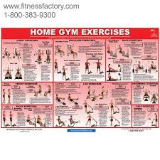 Weider 8530 Exercise Online Charts Collection