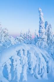 Let S Start The Year With A Picture From Winter Wonderland Snowy Shapes And Blue Monent In Yllas Lapland Al Winter Pictures Winter Landscape Winter Scenes