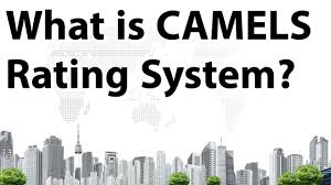 There are hundreds of banks in india which owned by both private and government. Camels Rating System Overall Performance Indicator Of Banks Current Affairs 2018 Youtube