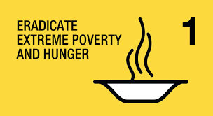 Millennium Development Goals Un Millennium Project