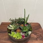 Wine & Vine Succulent Planter