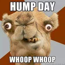 Pin By Autumn Reed On Giggle And A Snort Happy Hump Day Meme Funny Pictures Funny Pictures Fails