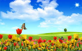 Find the best peaceful scenery wallpaper on getwallpapers. Fahrenheit Formode Land Nature Computer Wallpaper Hd Advent Tilskadekomne Patron