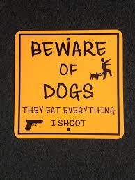 Funny Beware Of Dogs 12 Inch By 12 Inch Metal Sign Property Marker Dog Bites Shoot Beware Of Dog Dog Biting Dogs