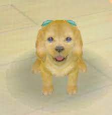 Unlockable by items in chihuahua & friends, dachshund & friends, and labrador & friends, the fireman's hat unlocks the dalmatian. Day 15 Without Sports Meet My Nintendogs Ham Sports
