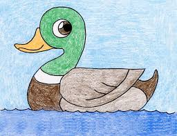 Bird Drawing For Kids Easy Step By Step Draw A Duck Art Projects For Kids Bird Drawing For Kids Bird Drawings Duck Art