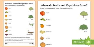 Fruits worksheets for grade 1. Preschool Fruits And Vegetables Worksheets Teacher Made