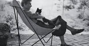 Elizabeth Bishop S Filling Station Elizabeth Bishop Butterfly Chair Cat People