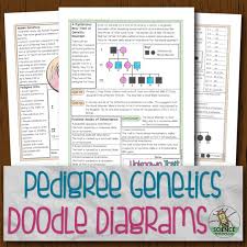 Balancing equations practice worksheet answer key. Pedigree Genetics Doodle Diagrams Store Science And Math With Mrs Lau