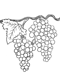 Dessins de raisin à colorier · deux coloriage coloriage. Coloriage Septembre Les Beaux Dessins De Les Mois A Imprimer Et Colorier Coloriage 1