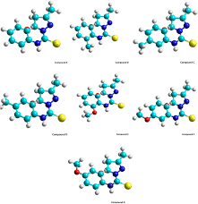 Image result for Pauridiantha paucinervis