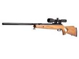 .22 Air Rifle Benjamin