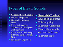 Download from our library of free woosh sound effects. Examination Of The Thorax And Lungs Ppt Video Online Download
