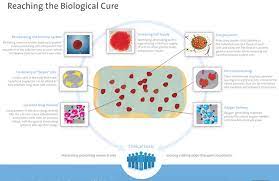 The Future Of Diabetes Treatment: Is A Cure Possible?