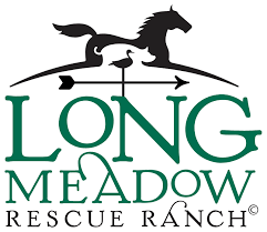 Download On Demand Baby Goat Deliveries Now Available From Longmeadow Rescue Ranch Longmeadow Rescue Ranch