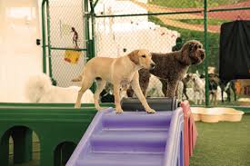 Royal pet resort, state college pa pet dog boarding, pet boarding kennels, pet.keywords: Royal Pets Market And Resort Dunndeal Publications