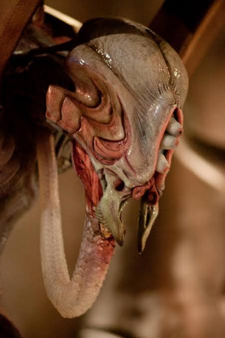 Special: Why was the Pilot fired from 'The Thing'? – Monster Legacy
