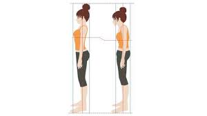 加 齢 背 が 縮む