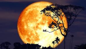 Tu esti in mod normal o zodie foarte activa si pusa permanent pe. Luna Plina Yoga Yogasat Cursuri Yoga Bucuresti