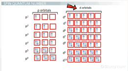 For N 4 Level List All Possible Values Of L And Ml How Many Orbitals Does N 4 Level Contain Study Com