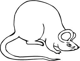 صور رسومات فئران للاطفال جاهزة للطباعة والتلوين صور تلوين فئران 2021 اروع روعه