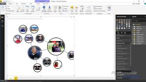 power bi custom visuals social network graph