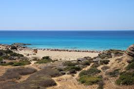 Από τα χανιά στην αγία μαρίνα, πλατανιάς, μάλεμε, κίσσαμος, μηλιά, φαλάσσαρνα, γραμβούσσα, μπάλος στην κρήτη. Falasarna Kissamos Xania Paralies Ths Krhths Elizabeth Estate Agency