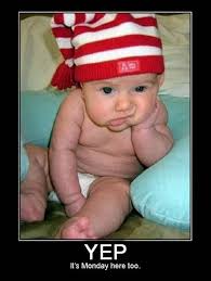 Image result for welcome to the internet meme