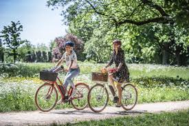 Fahrrad Fruhjahrsfit Machen Mit Diamantrad