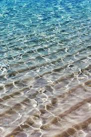 Unfortunately No Zombies Waves Ocean Sea And Ocean