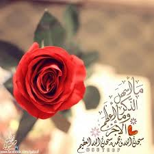 قطوف دعوية 8utoof Twitter Islamic Love Quotes Instagram Beautiful Images