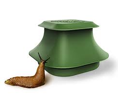 In fact, any of these items can be used as lures. How To Get Rid Of Slugs In Your Garden And Kitchen Patiomate