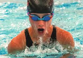 Homesteader Museum raises thousands from generous pie auction bidders Sons  of Freedom holds Powell school board forum