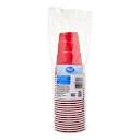 Great Value Everyday Party Disposable Plastic Cups, Red, 18 oz, 25 ...