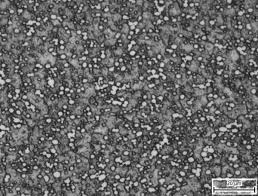 Image result for steel micrograph