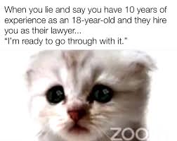 Now, internet users are in stitches and social media is being flooded with cat lawyer memes. I M Not A Cat Memes