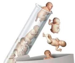 في دراسة سويدية عام 2005، تم متابعة 166 من النساء قبل شهر واحد من بدء دورات التلقيح الصناعي فيها، وأظهرت النتائج أنه لا يوجد ترابط كبير بين الضغط النفسي ونتائج التلقيح الاصطناعي. Ù†ØµØ§Ø¦Ø­ Ù„Ù„Ù…Ù‚Ø¨Ù„Ø§Øª Ø¹Ù„Ù‰ Ø§Ø·ÙØ§Ù„ Ø§Ù„Ø§Ù†Ø§Ø¨ÙŠØ¨ ÙˆØ§Ù„Ø­Ù‚Ù† Ø§Ù„Ù…Ø¬Ù‡Ø±ÙŠ Ù„Ø§ ØªÙÙˆØªÙŠÙ‡Ø§ ÙÙŠ Ù‡Ø°Ø§ Ø§Ù„Ù…Ù‚Ø§Ù„